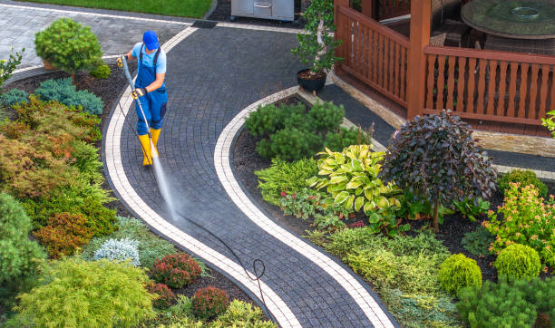 Best Roof Pressure Washing  in Bel Air North, MD